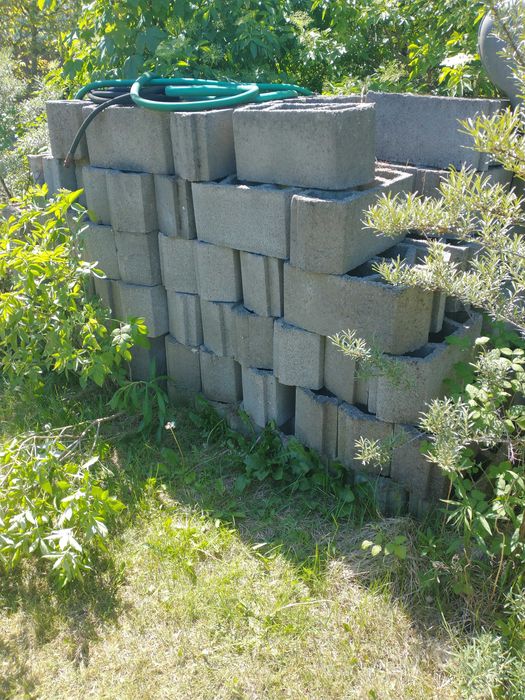 Pustak  stropowy