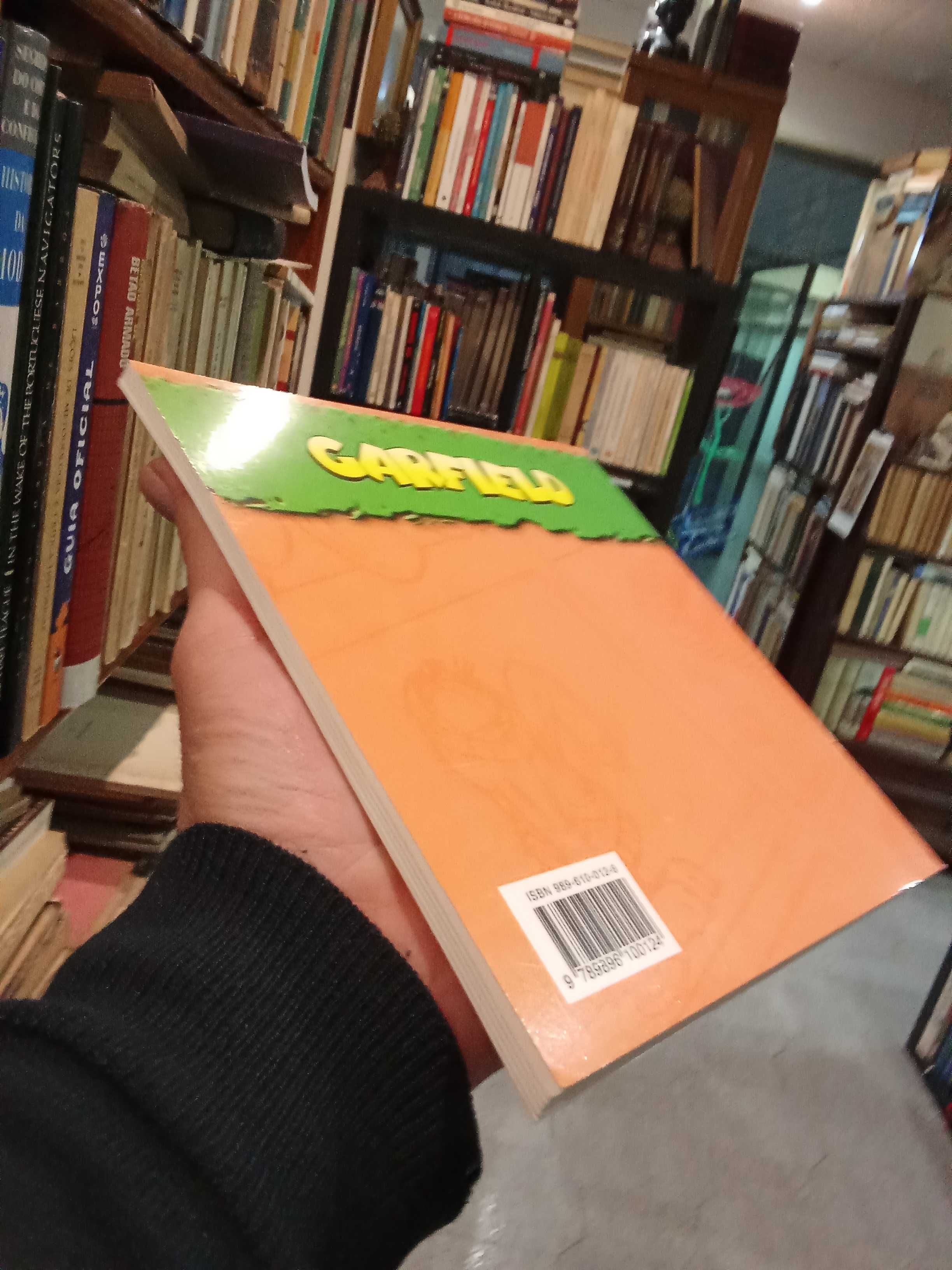 Garfield: Viva a Amizade! BD - Jim Davis