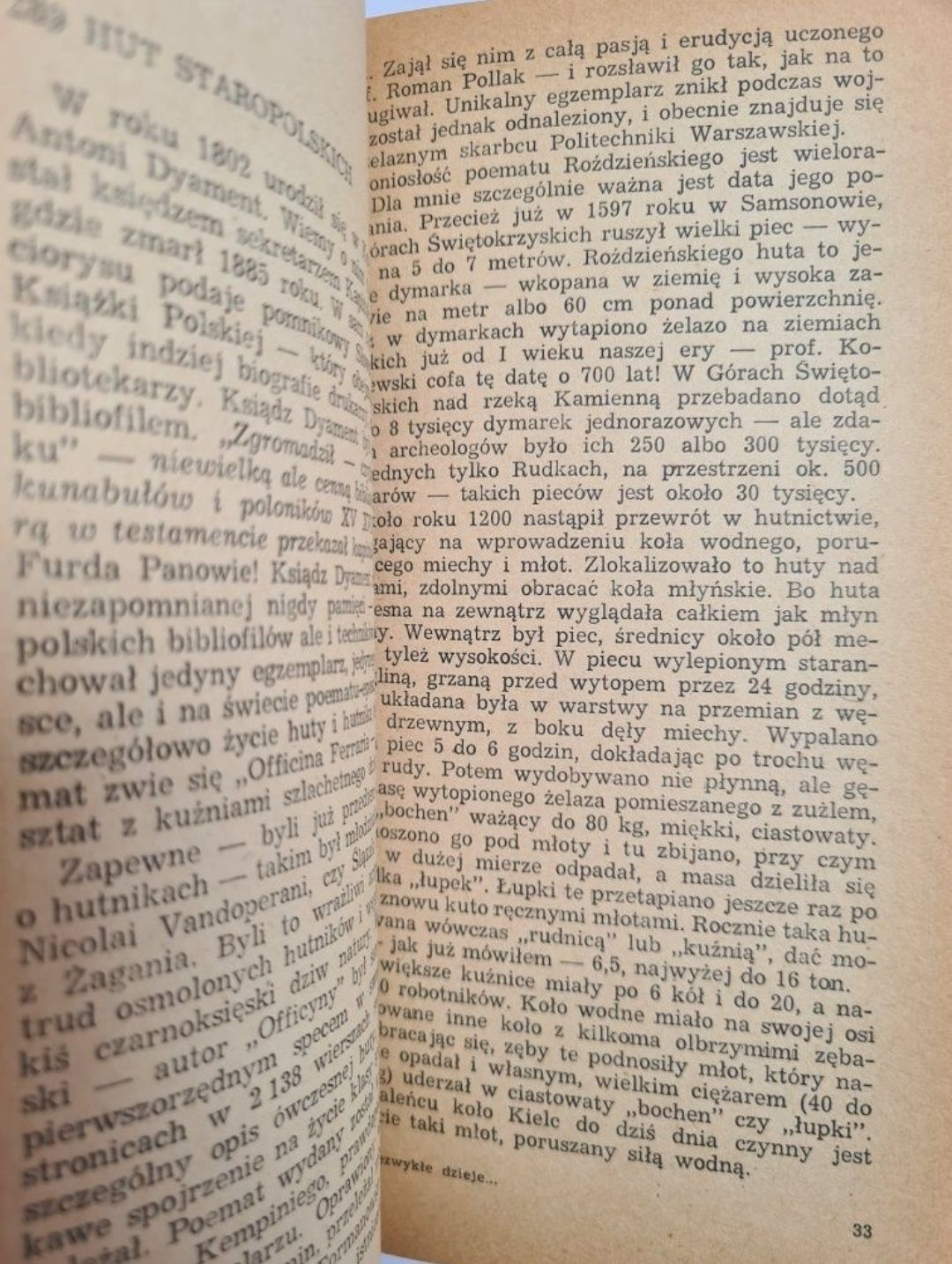 Niezwykłe dzieje przemysłu polskiego - Aleksander Bocheński