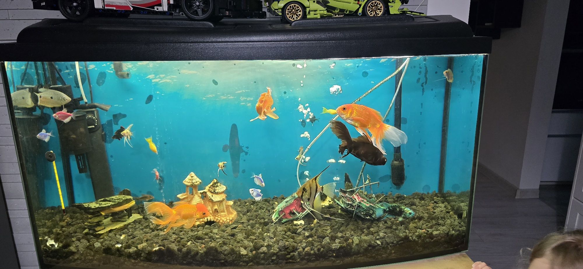 Akwarium 200L w całości