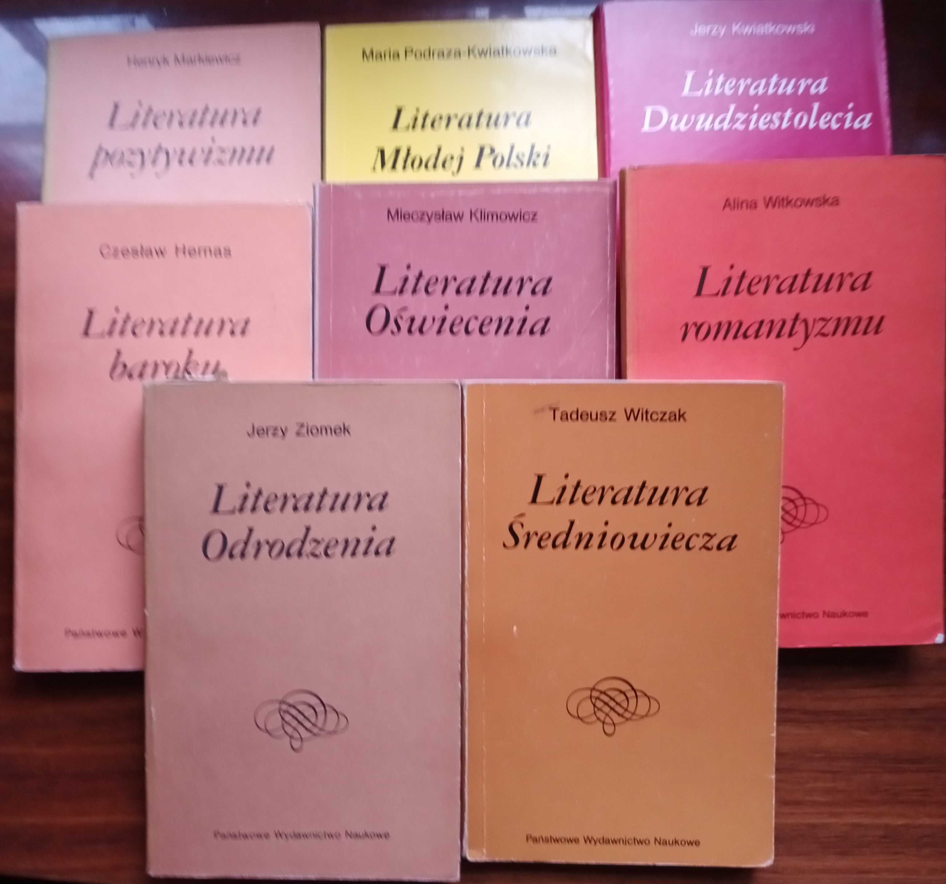 Dzieje Literatury Polskiej