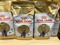Royal Canin British Shorthair Adult, с птицей, 2 кг сухой корм