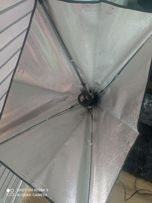 Stawy czarny do zdjęć