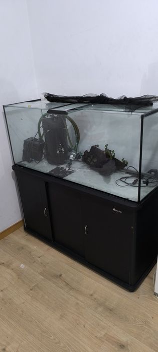 Aquário scalare 240L