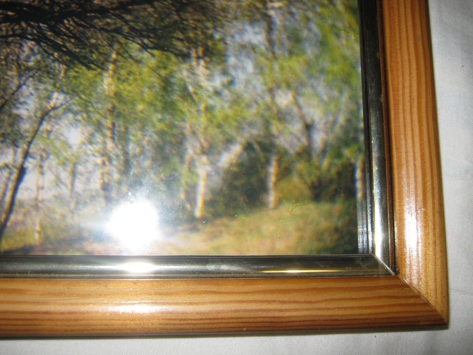 картина,фотокартина,Сакура цвіте,50*35см,з дерев'яною рамою,під склом