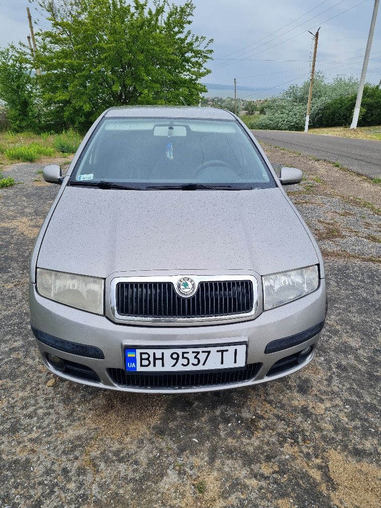 Skoda Шкода фабия 1