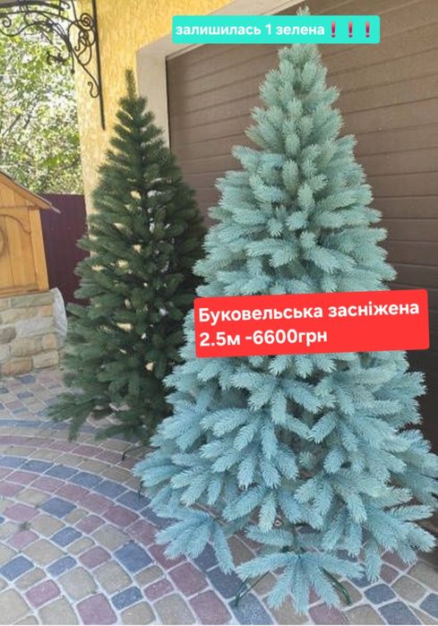 Штучні ялинки.  Ялинка.  Засніжена Ялинка.  Ялинка з білими кінчиками