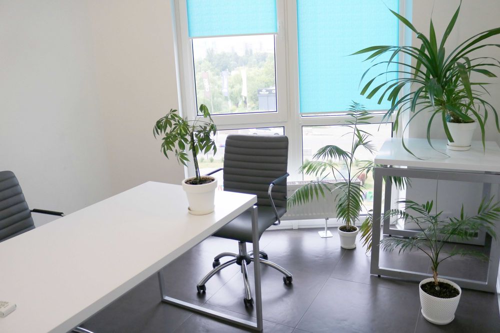 Оренда офіса 76,6 кв.м. 598 грн, від власника, Лівий берег