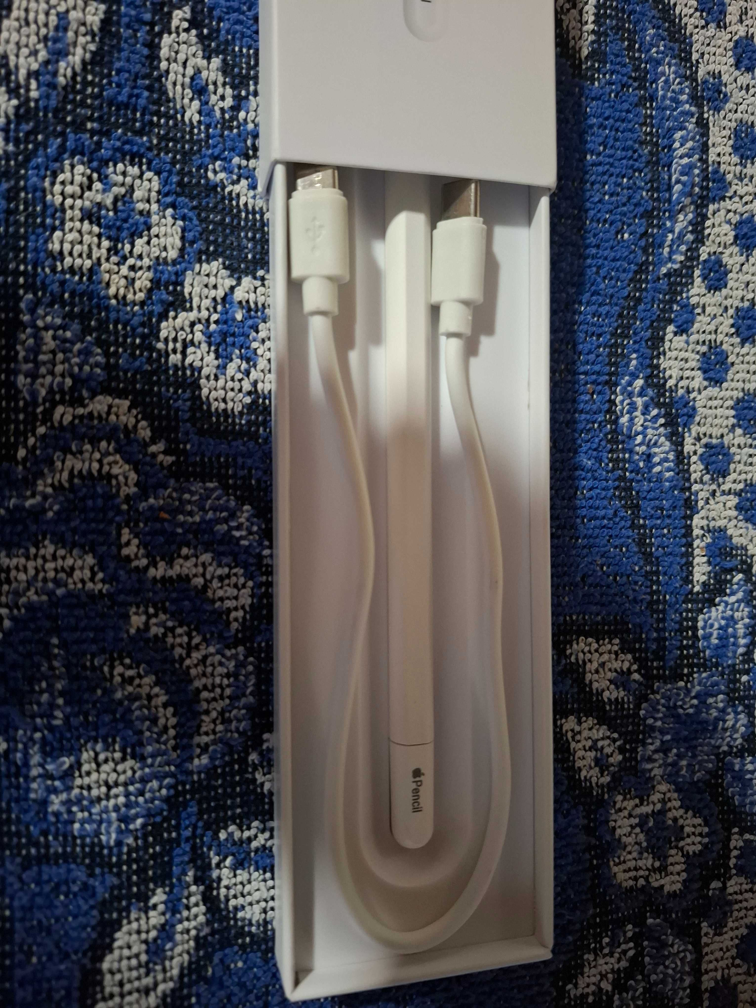 caneta da Apple Pencil