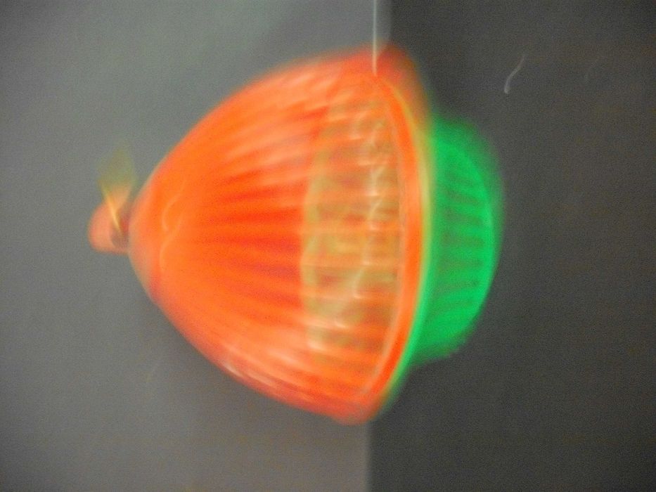 Gaiola antiga para insetos pequenos Portuguesa