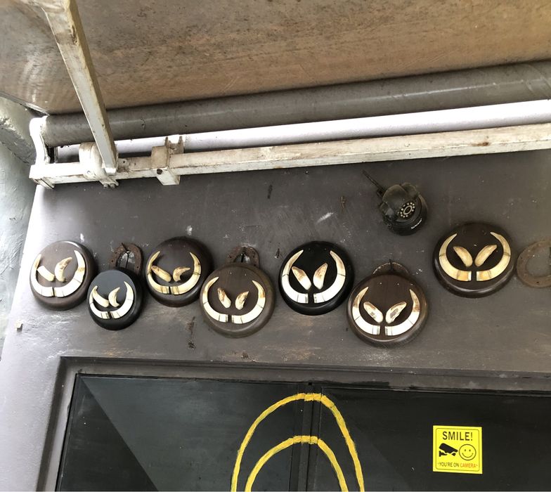 Dentes e cornos de javal