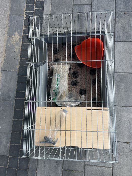 Klatka dla gryzonia z półeczką