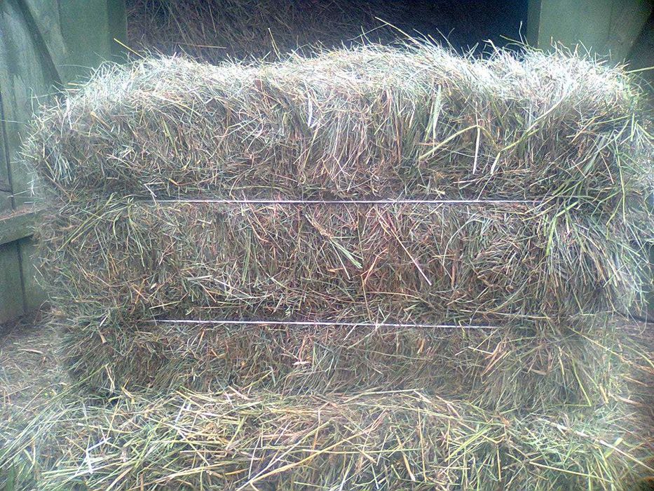 Продам сіно в тюках