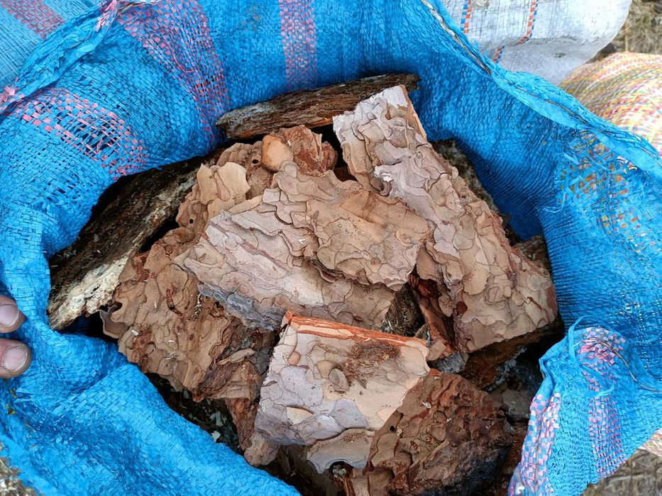 Kora sosnowa w workach