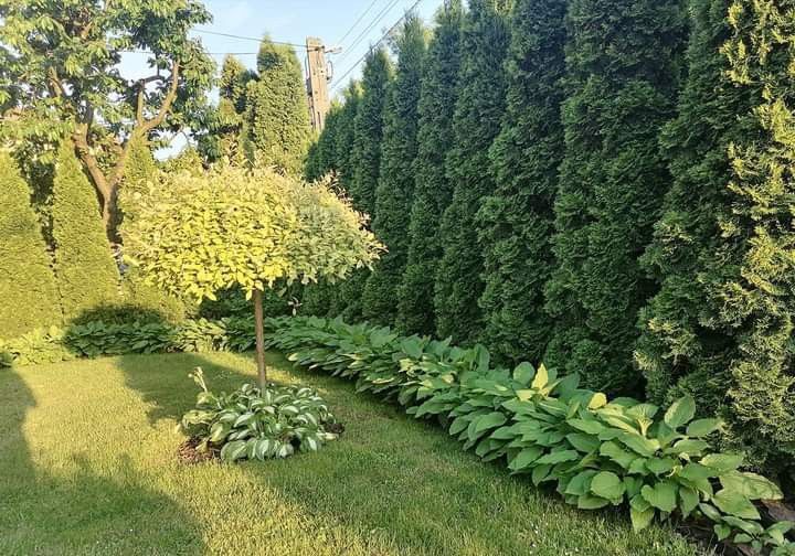 Садівник.  догляд за садом, квітником,двором,