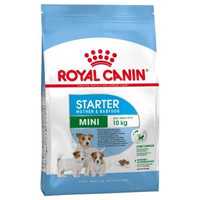 Karma Royal Canin Mini Starter Mother & Babydog 8 kg karmy dla psów