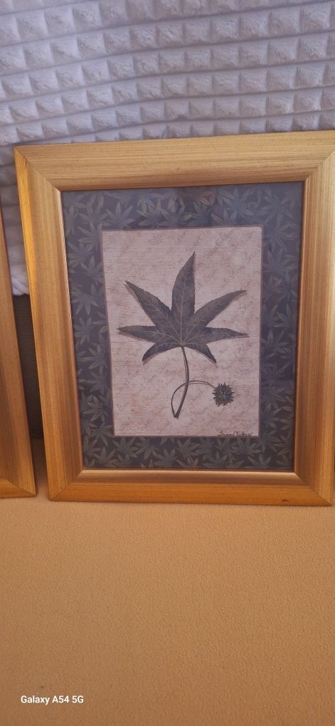 Quadros com moldura  em dourado