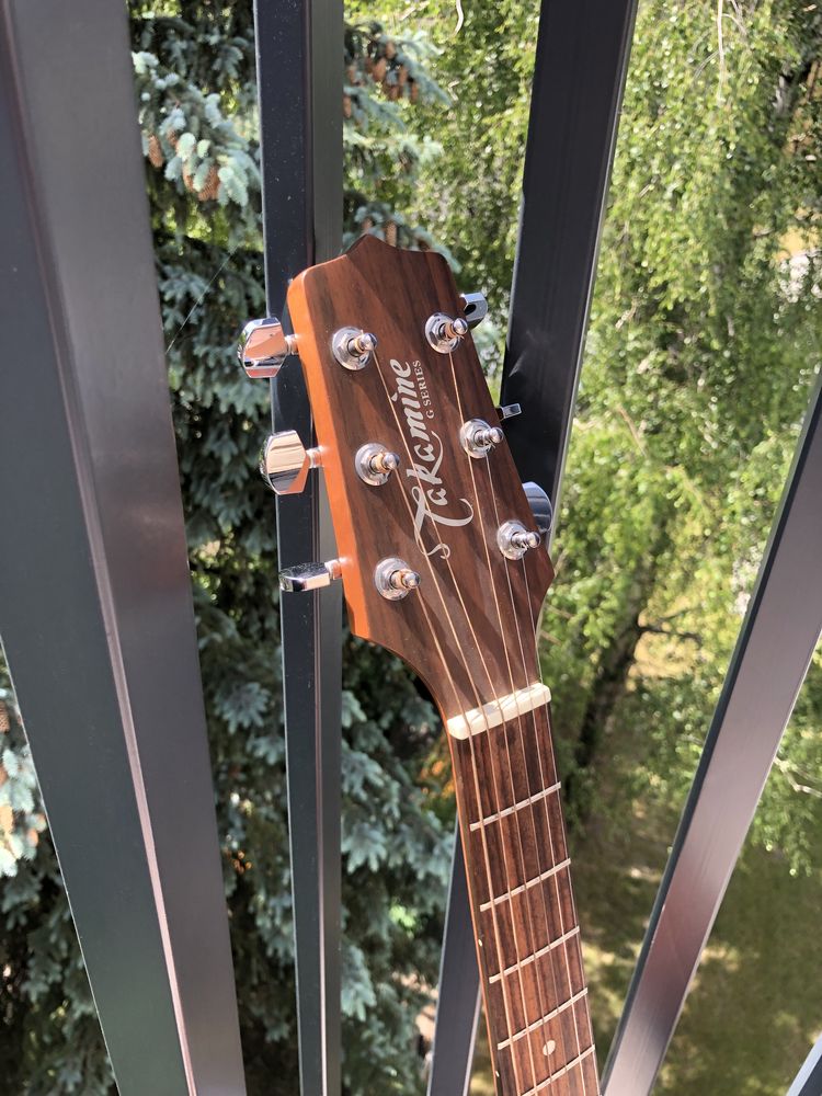 Gitara Takamine G220