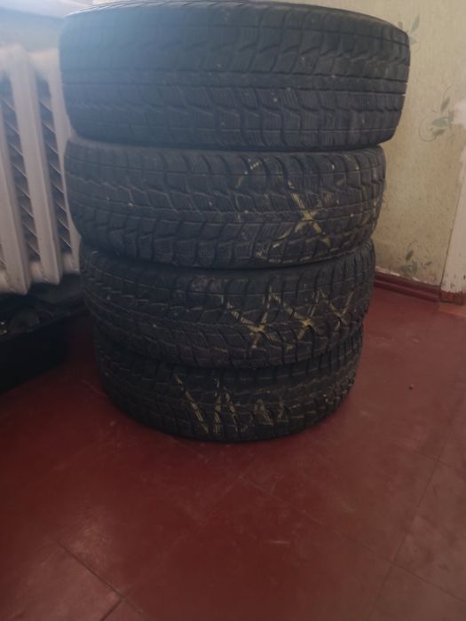 Шины Federal Hamalya WS2