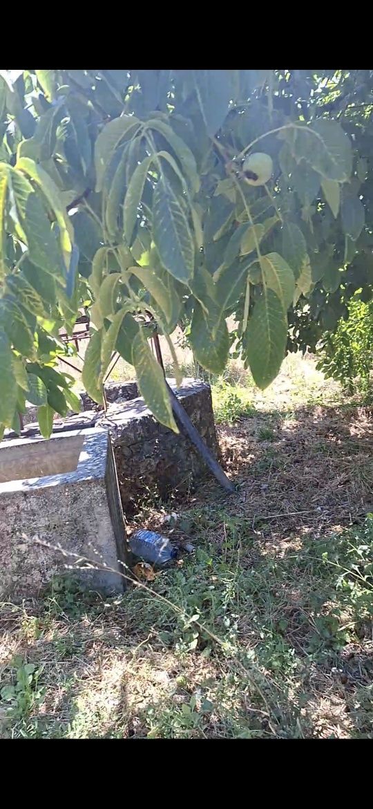 Terreno de construção Pousos, Torres Novas