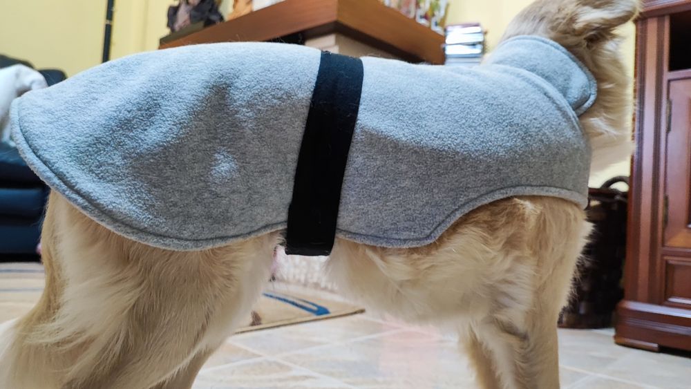 Capa para cão porte pequeno (até 10/11kg) - como nova