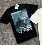 ARCTERYX Футболка » GorpCore » Артерикс BIG Logo Принт » С М Л ХЛ