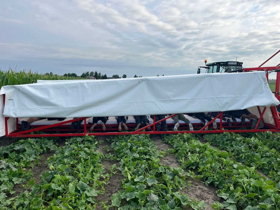 kombajn do ogórków, samolot do rwania ogórków