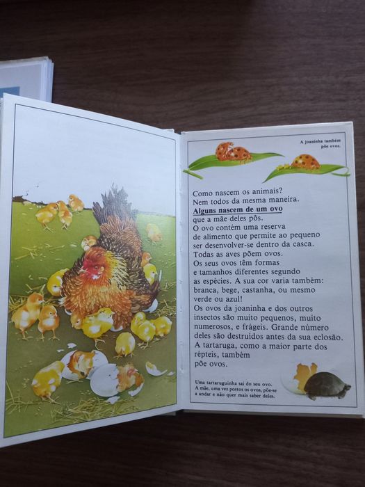 Livros O Corpo Humano e a História do Nascimento