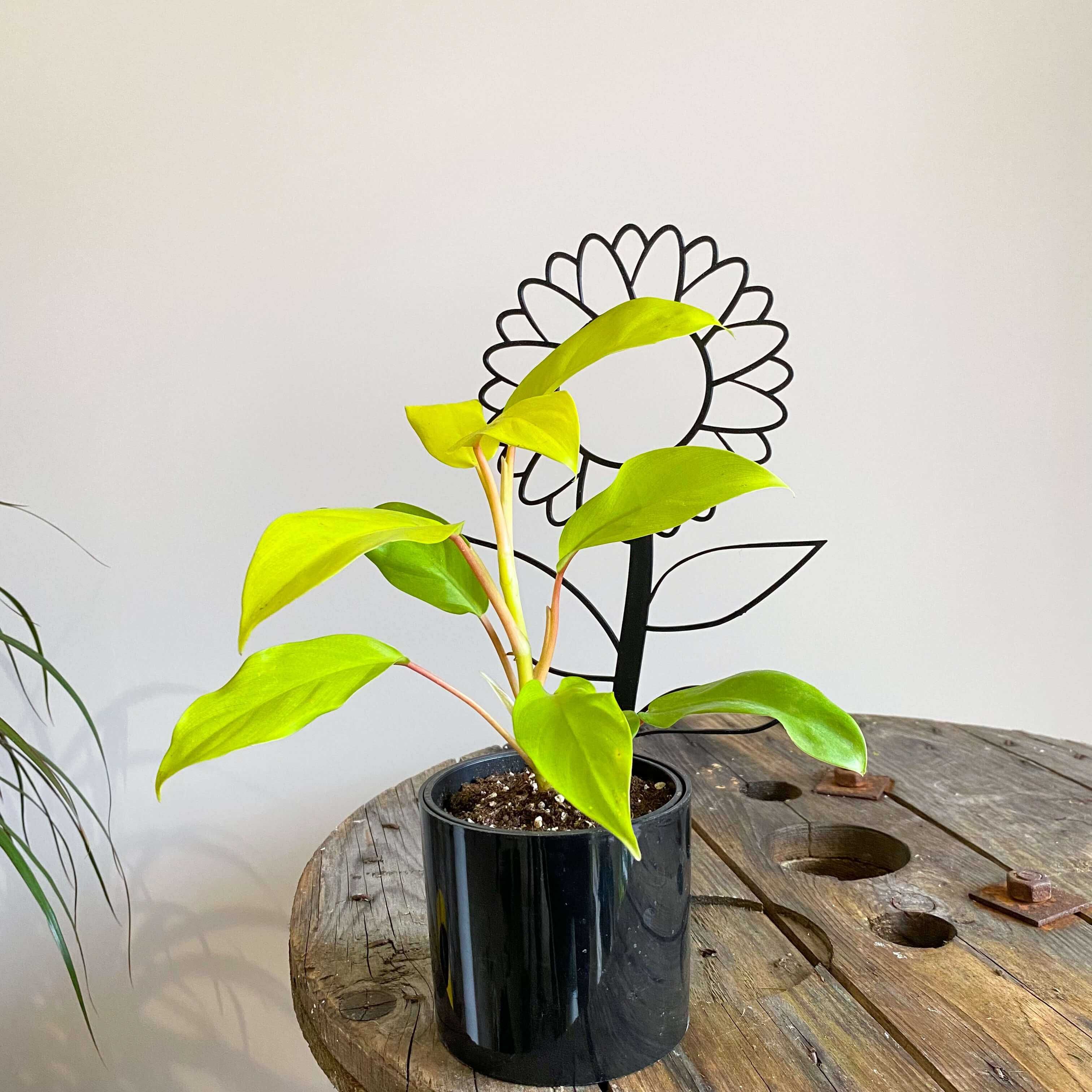 Dekoracyjna podpórka, pergola - kwiat  29 cm