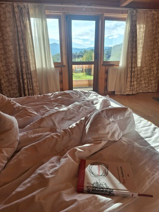 Котедж в Карпатах.  Відпочинок в горах