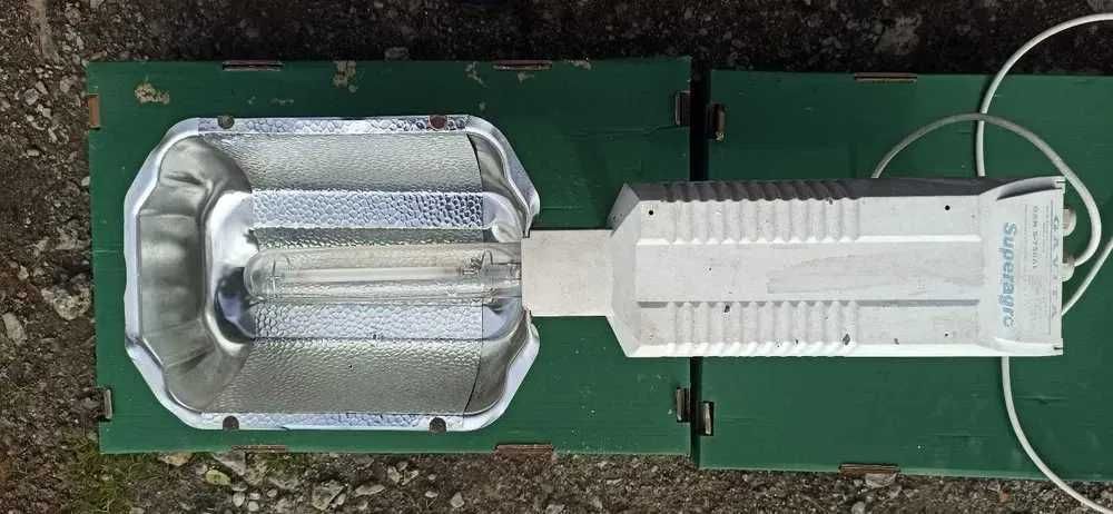 Lampa sodowa - idealna do uprawy i doświetlania roślin