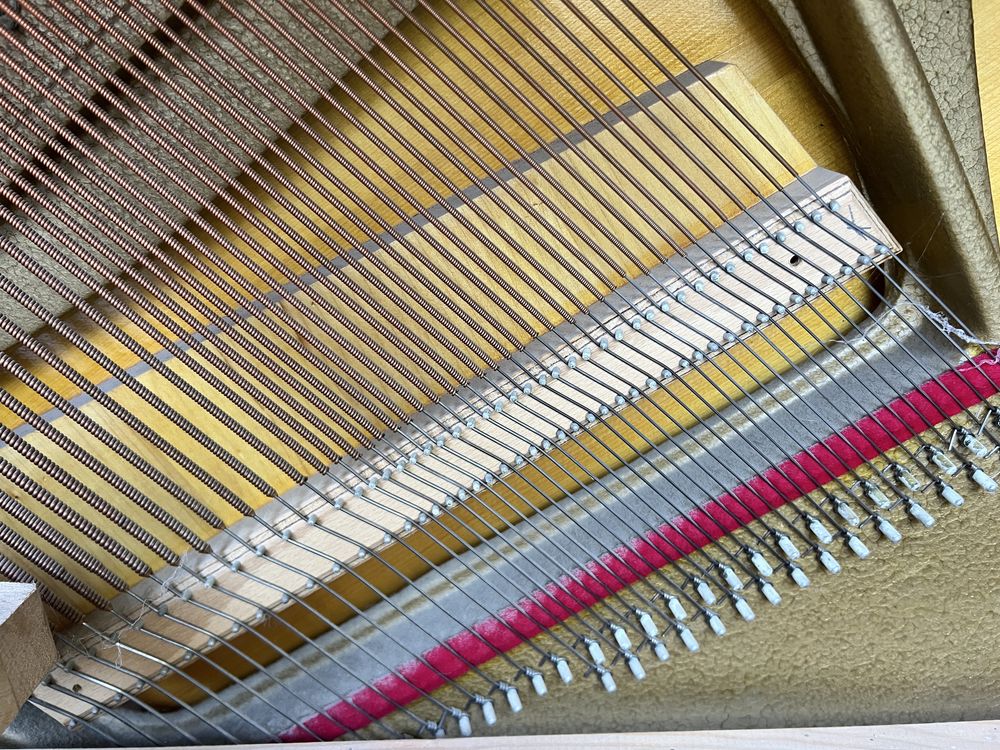 Pianino sauter vinteg
