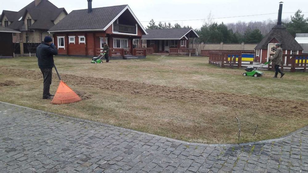 аерація вичесування газону, скарифікація, покос, підживлення газону