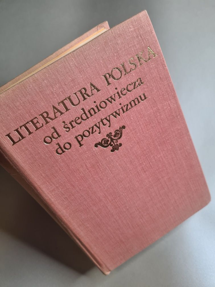 Literatura polska od średniowiecza do pozytywizmu