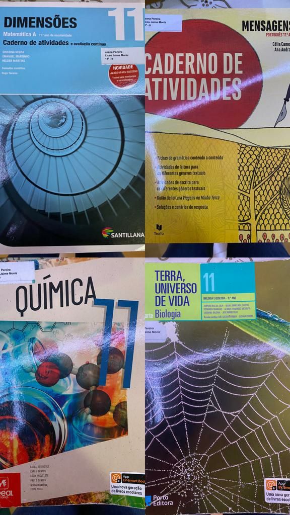 Livros biologia, geologia e filosofia 11 ano