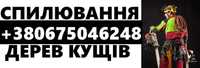 Спил деревьев. УДАЛЕНИЕ ДЕРЕВЬЕВ и прочие строй. работы. Боярка.