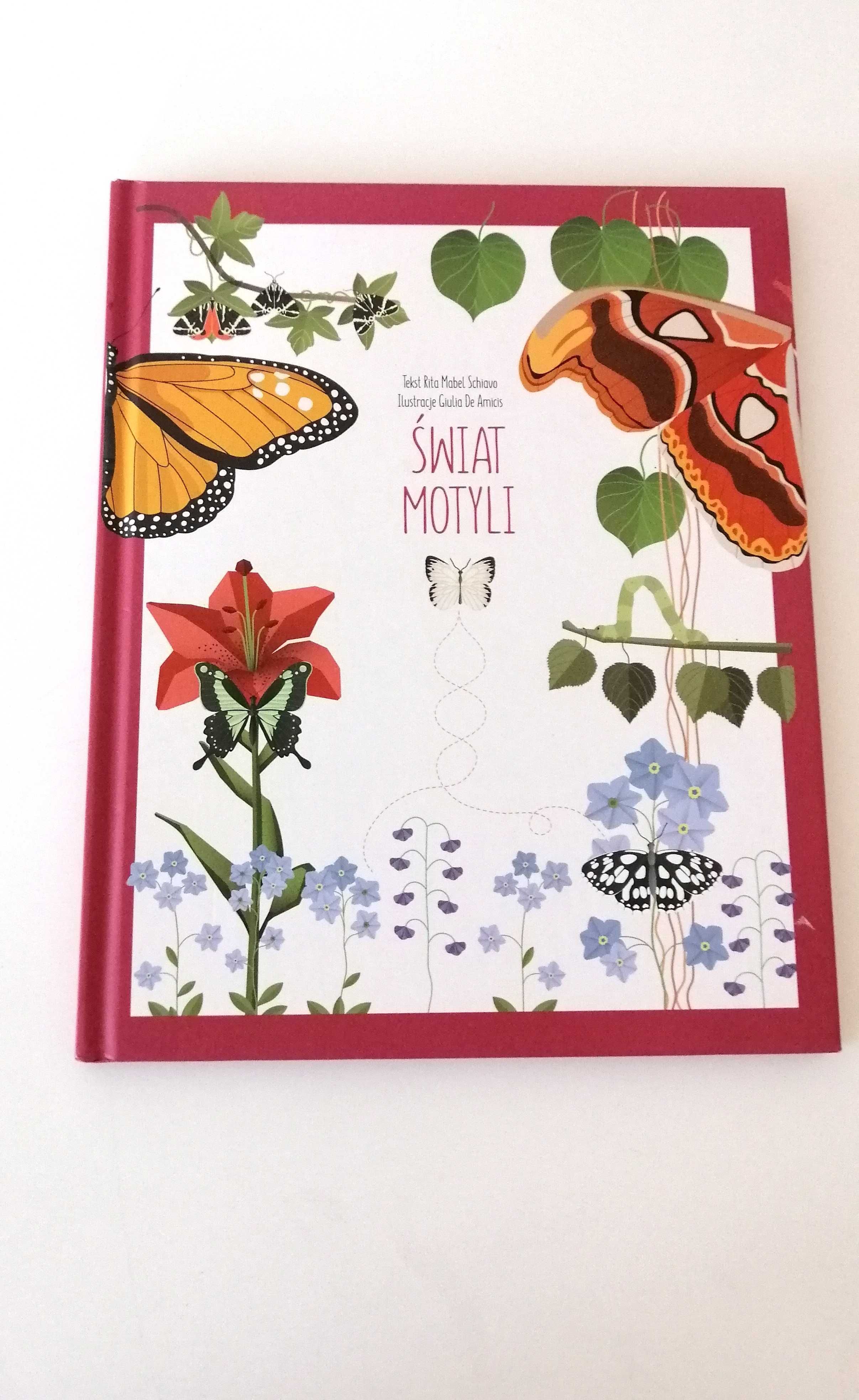 książka dla dzieci świat motyli o motylach motyle atlas album nauka