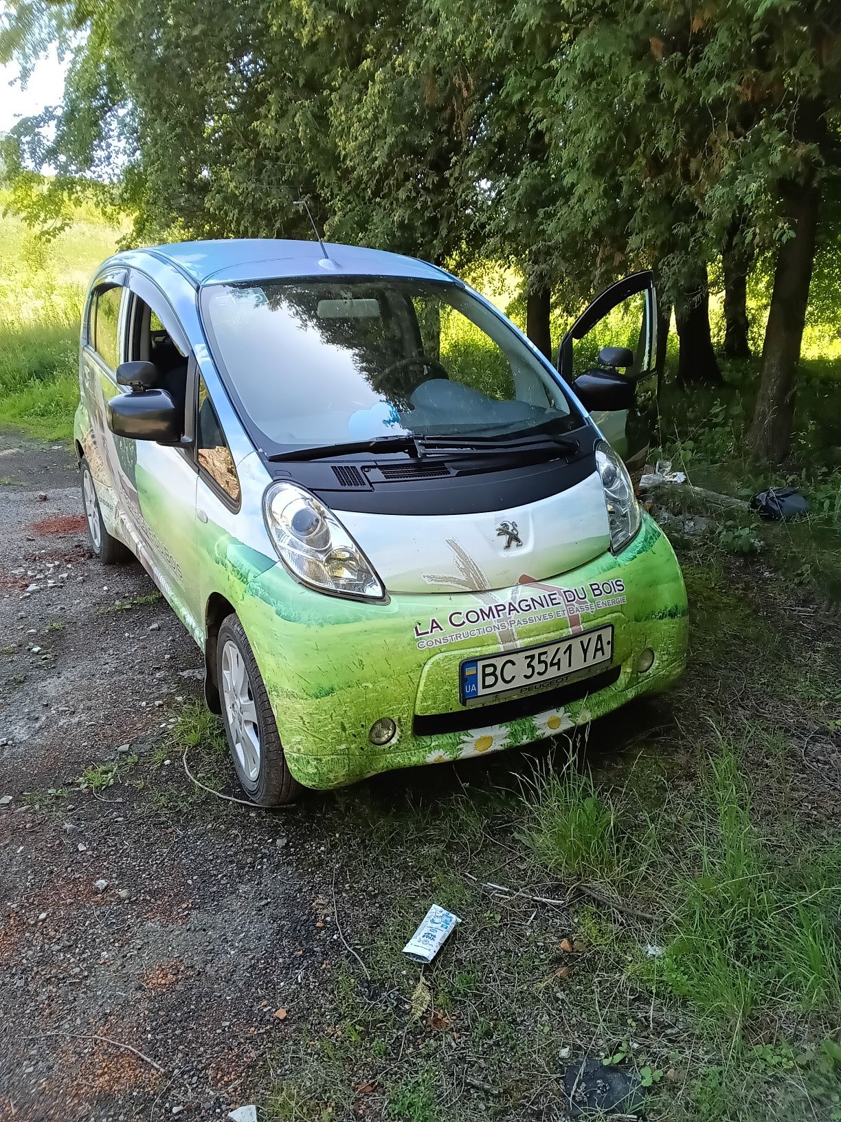 Peugeot ION 2012