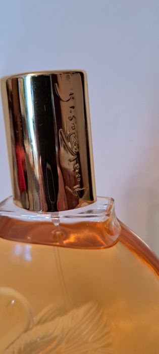 Perfumy Gloria Vanderbilt 100ml