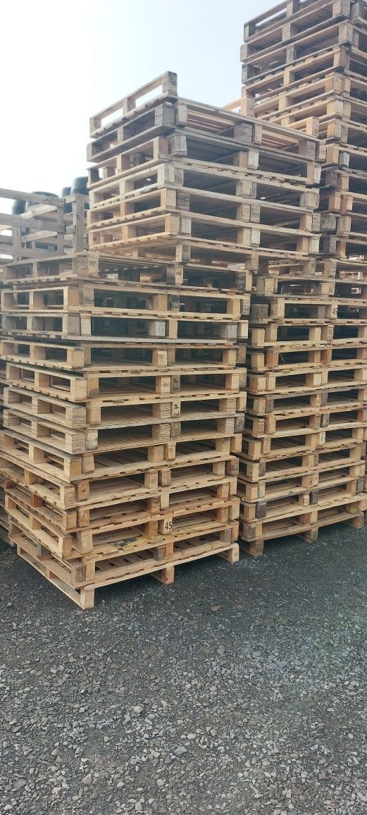 Skup palet drewnianych,plastikowych