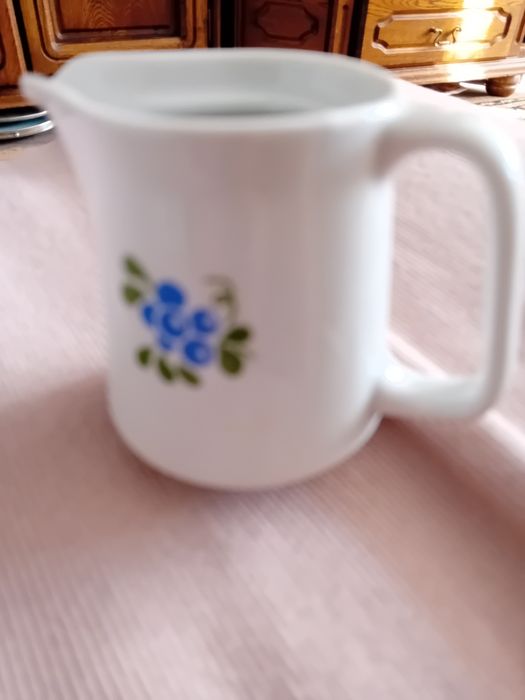 Lubiana mlecznik jagódki