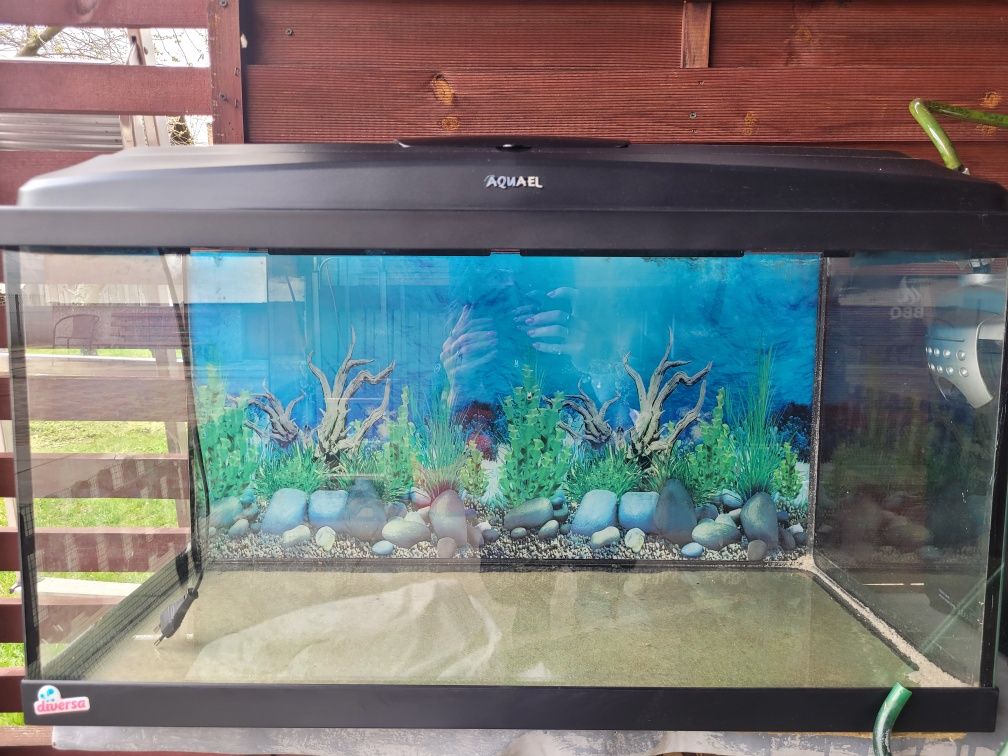 Akwarium Aqael 200 l