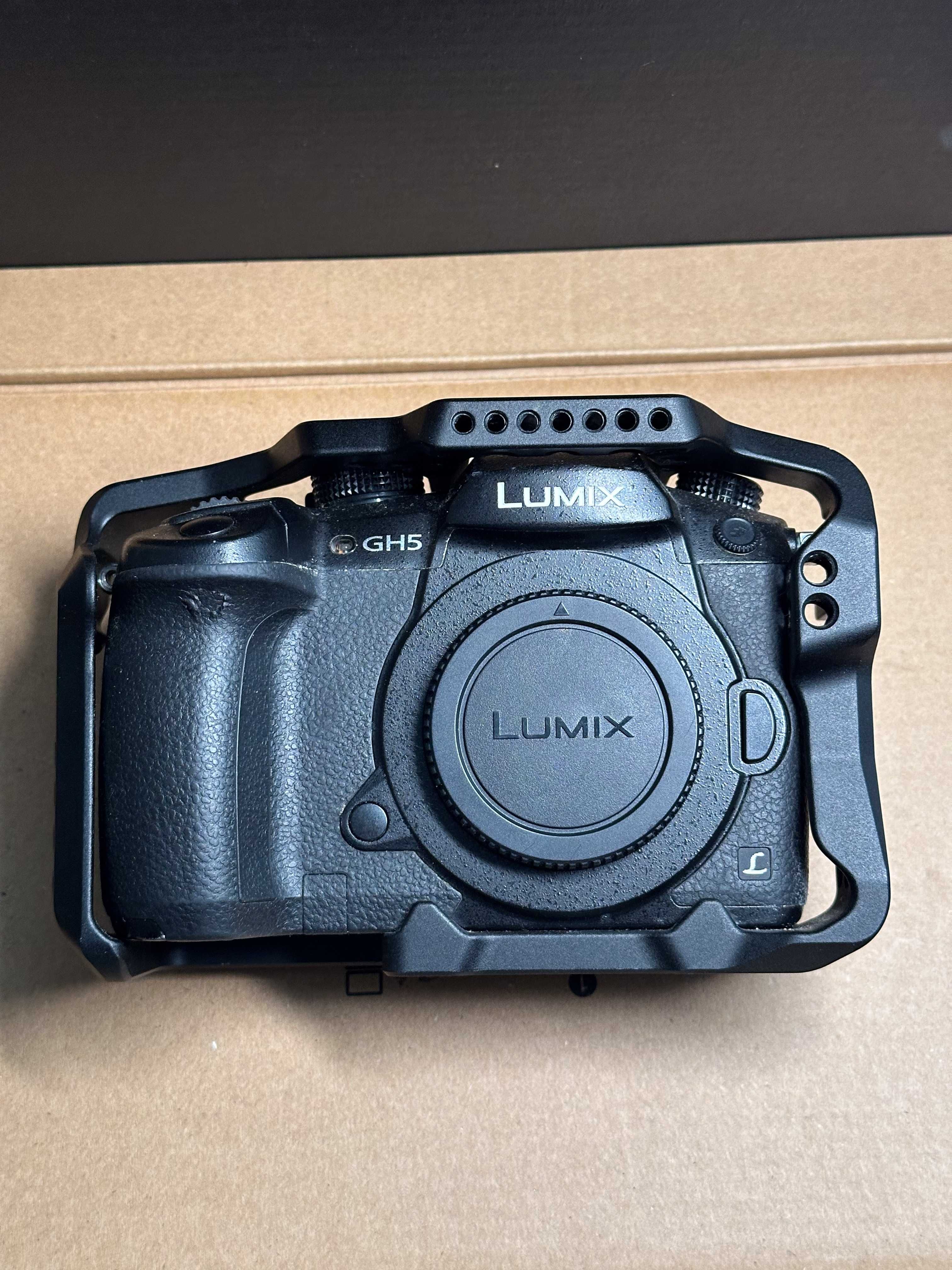 Panasonic Lumix GH5 + Cage + V-Log