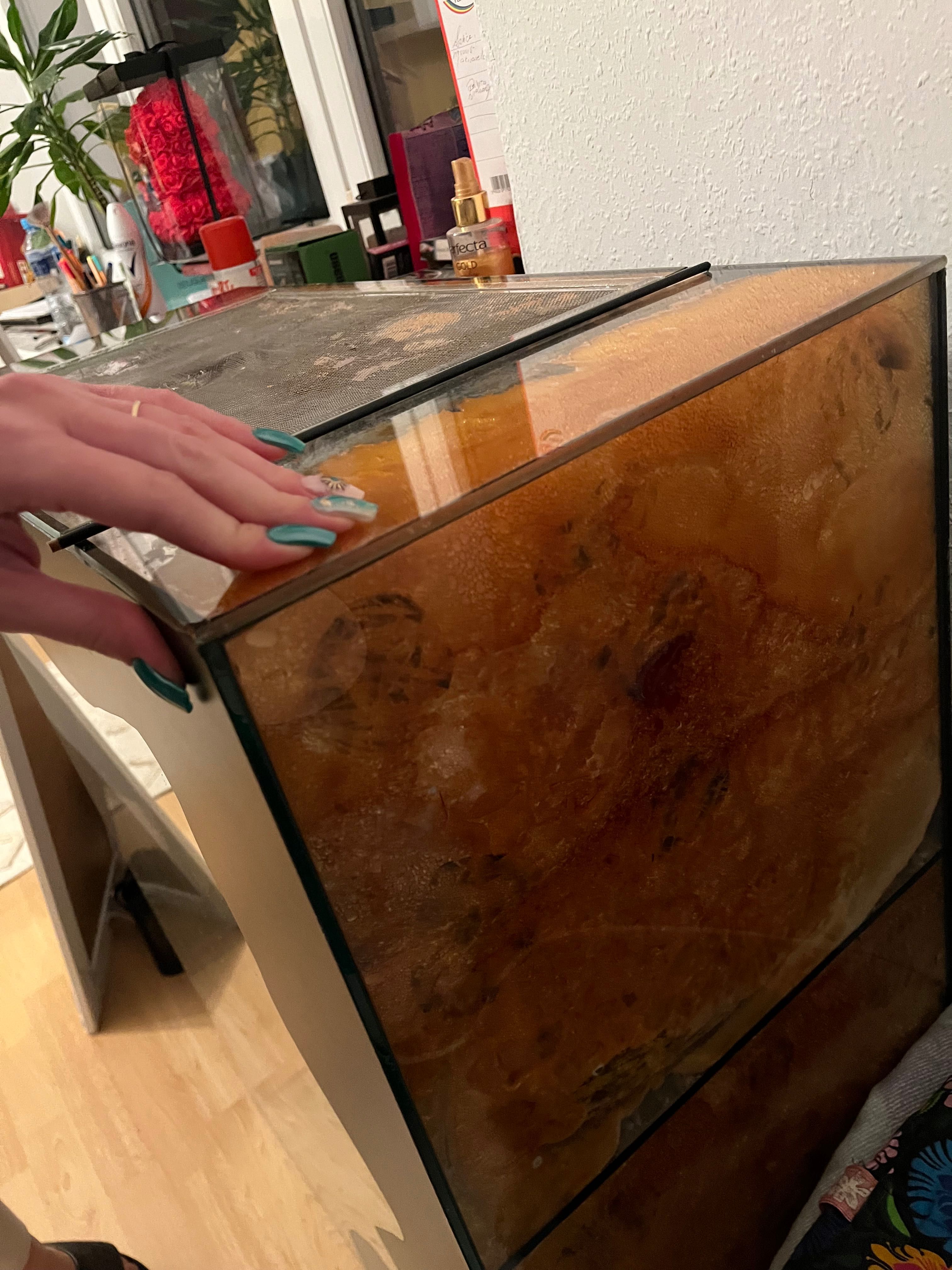 Terrarium pionowe 90x70x35 ze ścianką wyposażeniem gekon płazy