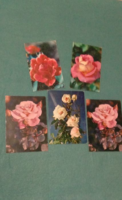 Листівки минулих часів/різна тематика/розкішні квіти