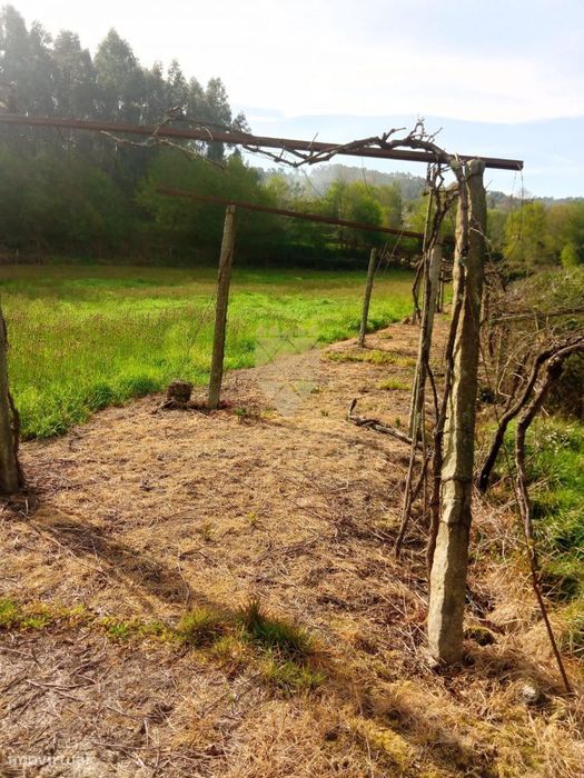 Terreno Rústico com 1.400 m² - Fonte Arcada