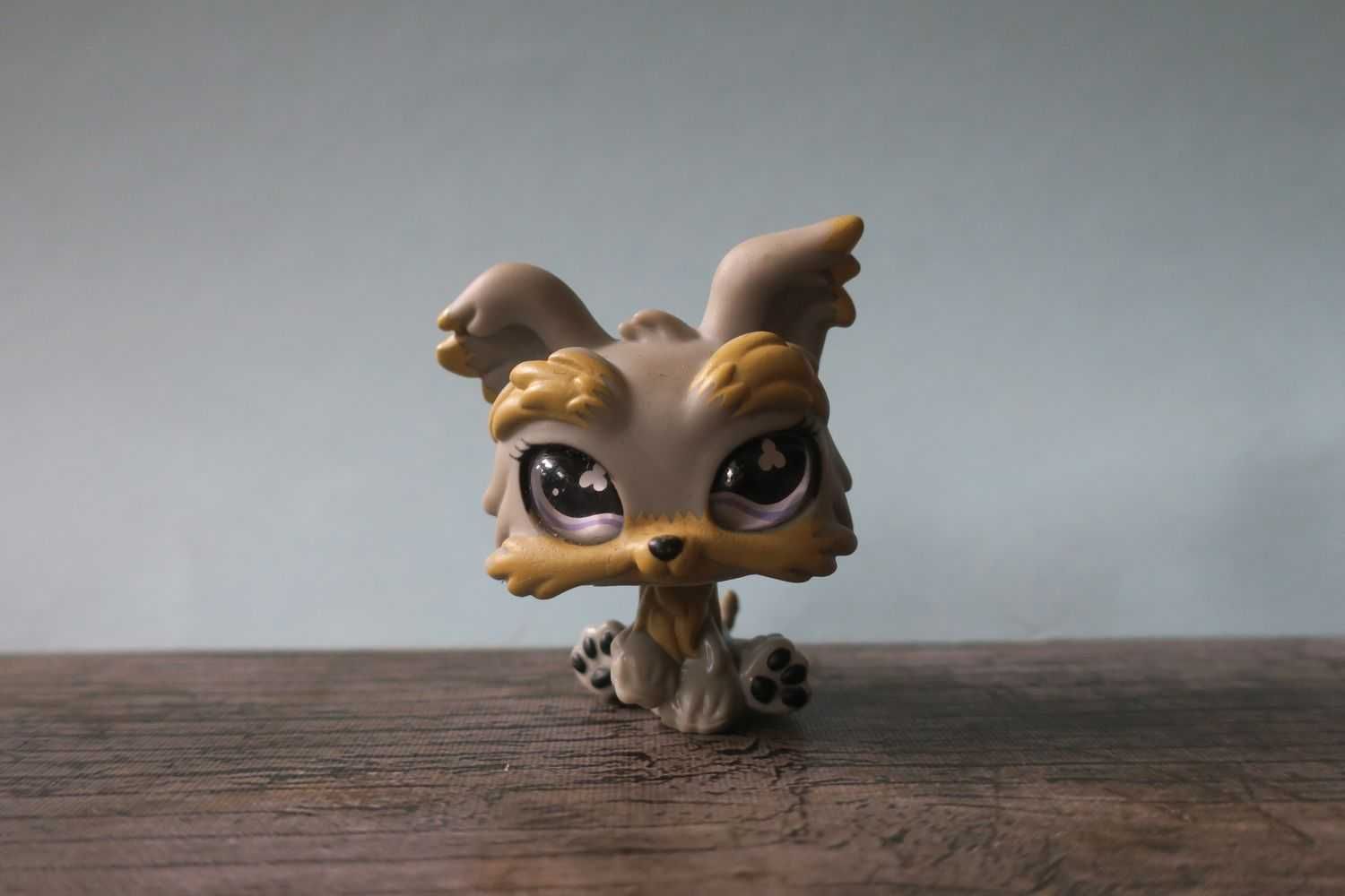 Figurka Littlest Pet Shop LPS pies Yorkshire Terrier piesek Hasbro