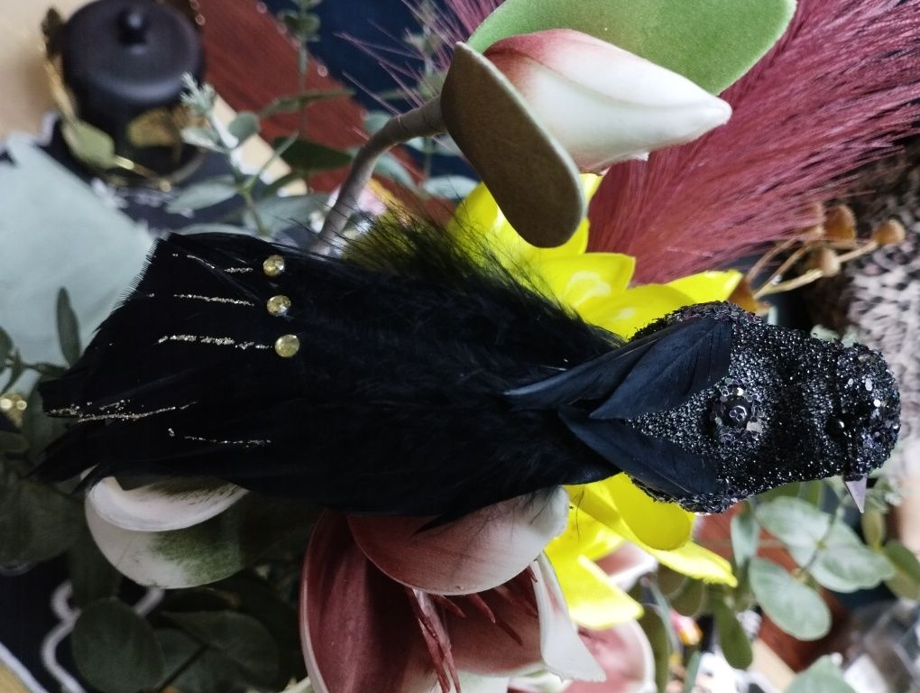 Czarny ptaszek ( nowe z piór )