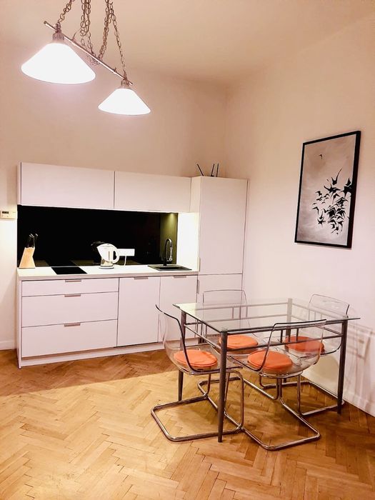 Mieszkanie w centrum Krakowa