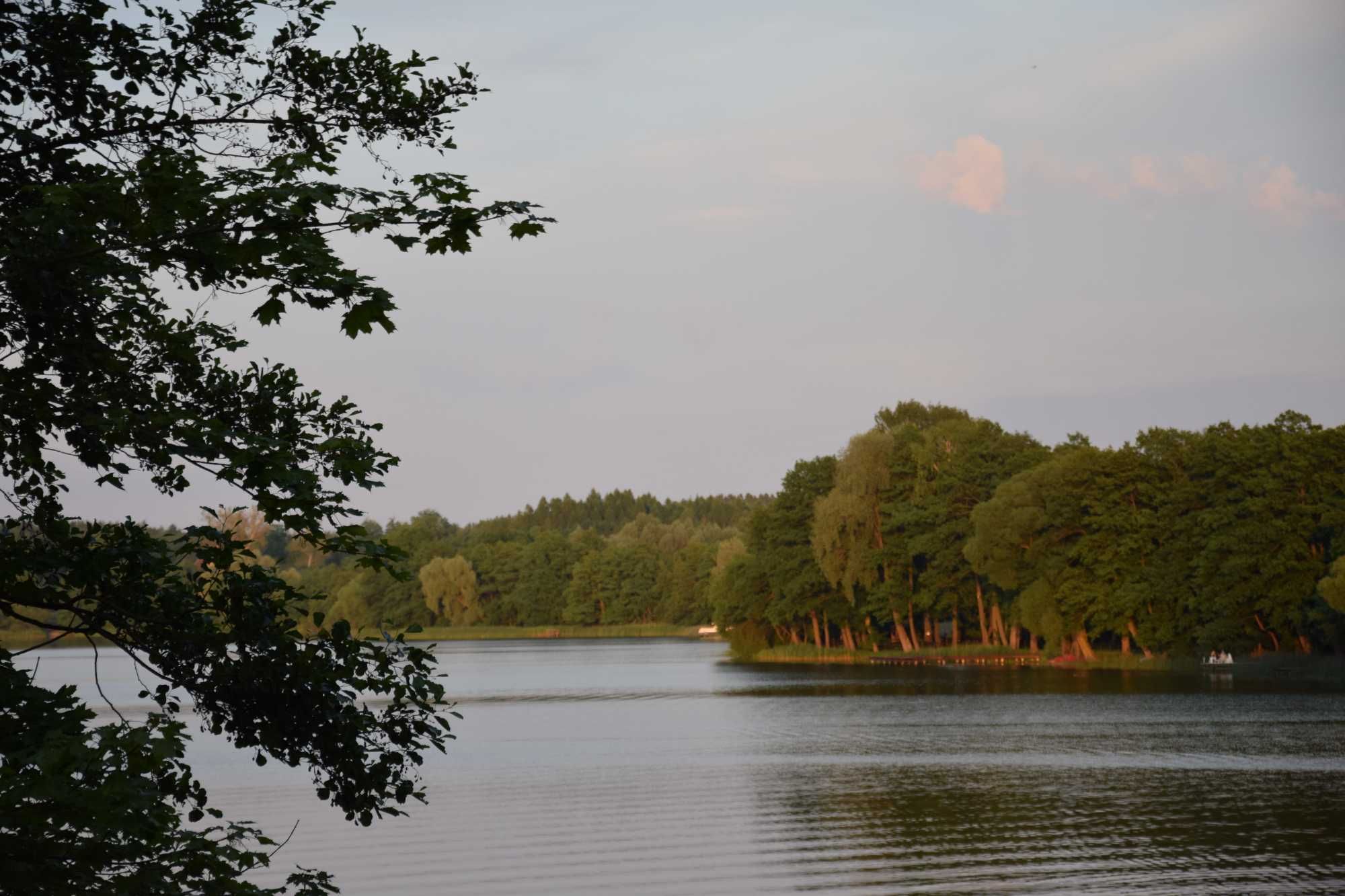 Domek letniskowy w Miłomłynie - wolny termin Majówki. Zapraszamy